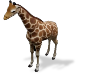 Comparison Image